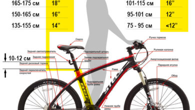 Photo of Основные параметры для выбора размера рамы